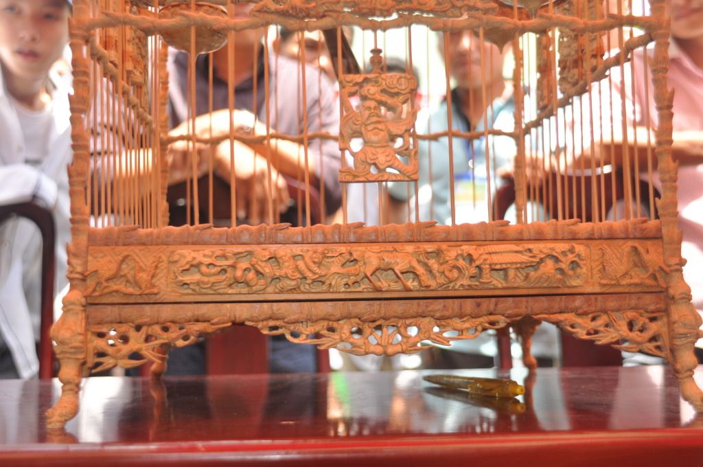 DSC_0128.jpg